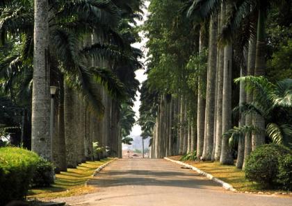 A view of Aburi Botanical Gardens in Ghana